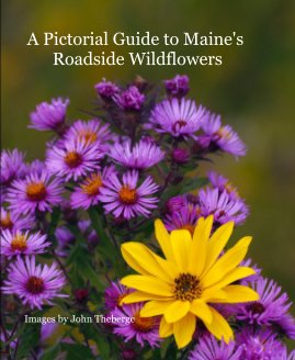 A Pictorial Guide to Maine's Roadside Wildflowers book cover