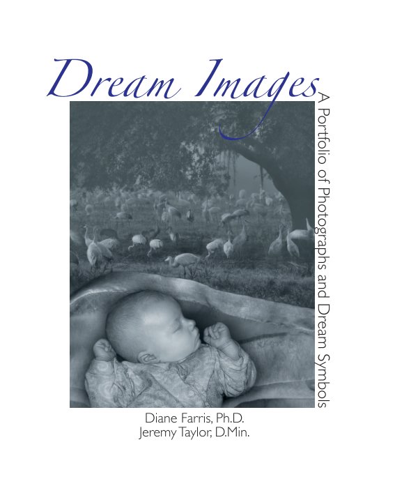 View Dream Images by Diane Farris