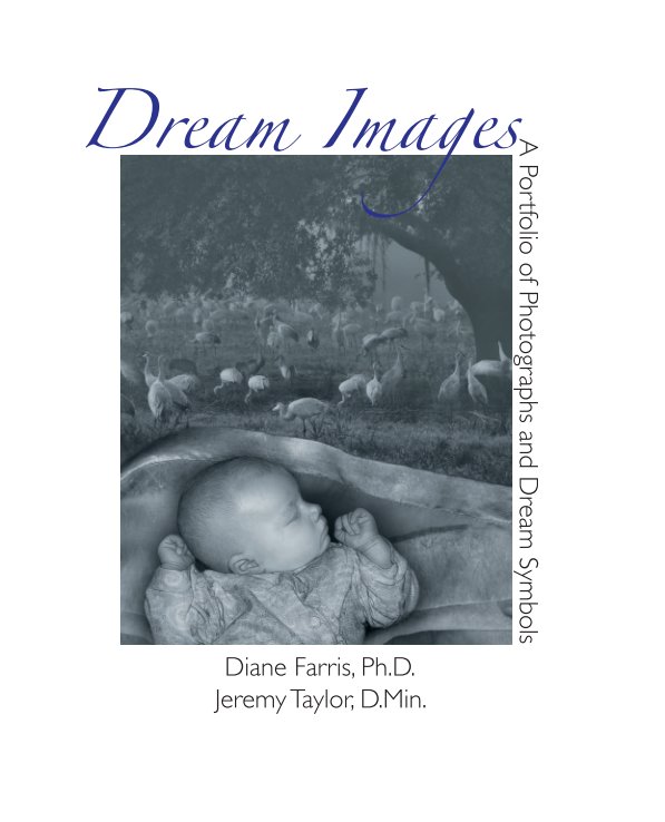View Dream Images by Diane Farris