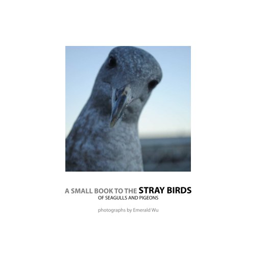 Ver A Small Book to The Stray Birds por Emerald Wu