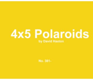 Polaroids 380- book cover