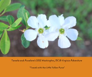Tamela and Annelore's 2012 Washington, DC & Virginia Adventure book cover
