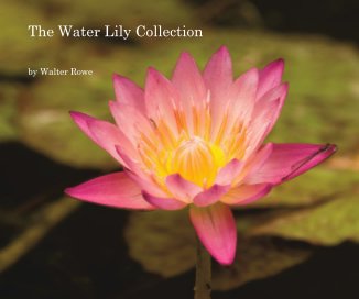 The Water Lily Collection book cover
