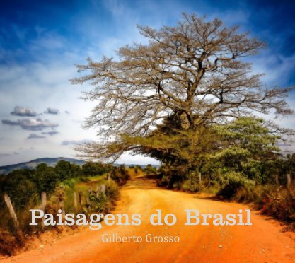 Paisagens do Brasil book cover