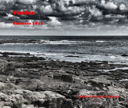 Vendée Vacances 2012 book cover