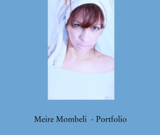 PORTIFOLIO book cover