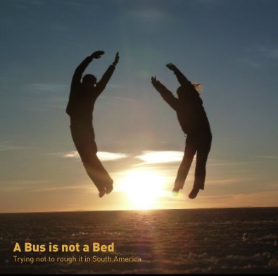 A Bus is not a Bed book cover