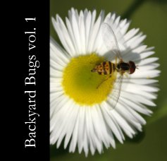Backyard Bugs vol. 1 book cover