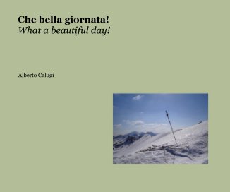 Che bella giornata! What a beautiful day! book cover