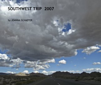 SOUTHWEST TRIP  2007 book cover