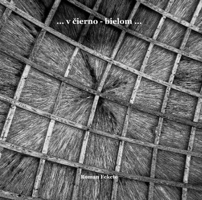 ... v čierno - bielom ... book cover