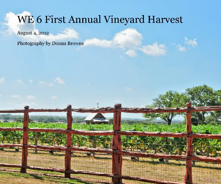 View WE 6 First Annual Vineyard Harvest by Photography by Donna Browne