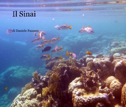 Il Sinai book cover