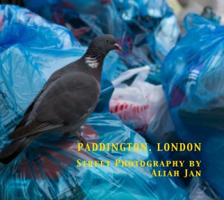 Paddington . London book cover