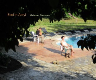 Esel in Acryl book cover