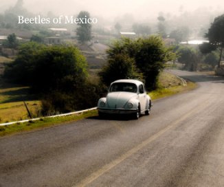 Beetles of Mexico book cover