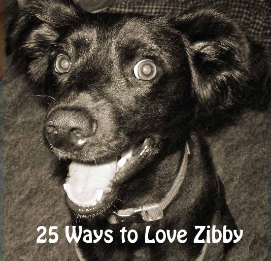 Bekijk 25 Ways to Love Zibby op Amanda Reeves