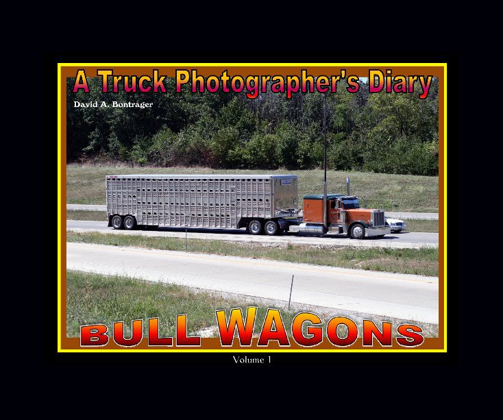 View Bull Wagons Volume 1 by David A. Bontrager