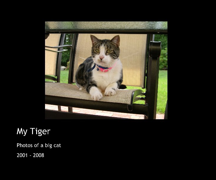 My Tiger nach 2001 - 2008 anzeigen