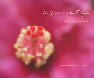 The Greatness in Small Things book cover