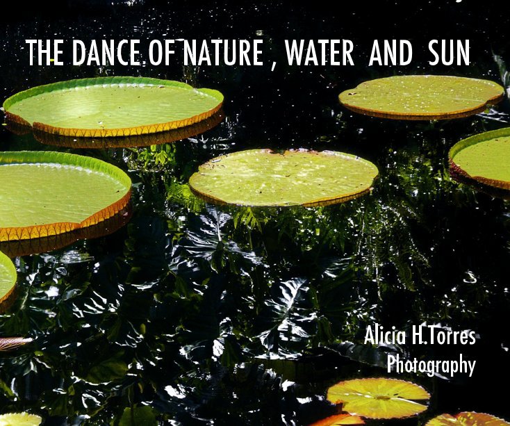 Ver THE DANCE OF NATURE , WATER AND SUN Alicia H.Torres Photography por Alicia H. Torres Photography
