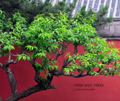 CHINE 2012- PEKIN 21 Juin au 03 Juillet book cover