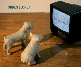 TORRES LLORCA book cover