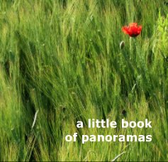 little book of panoramas book cover