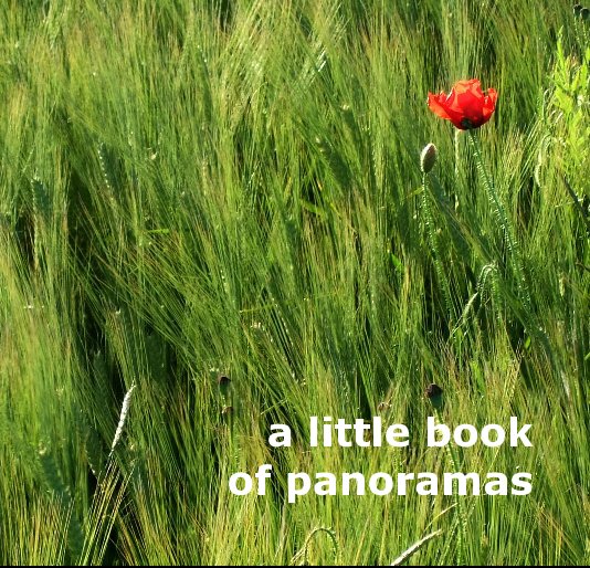 View little book of panoramas by kate mellersh