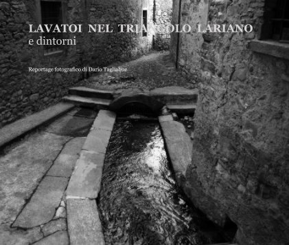 LAVATOI NEL TRIANGOLO LARIANO e dintorni book cover