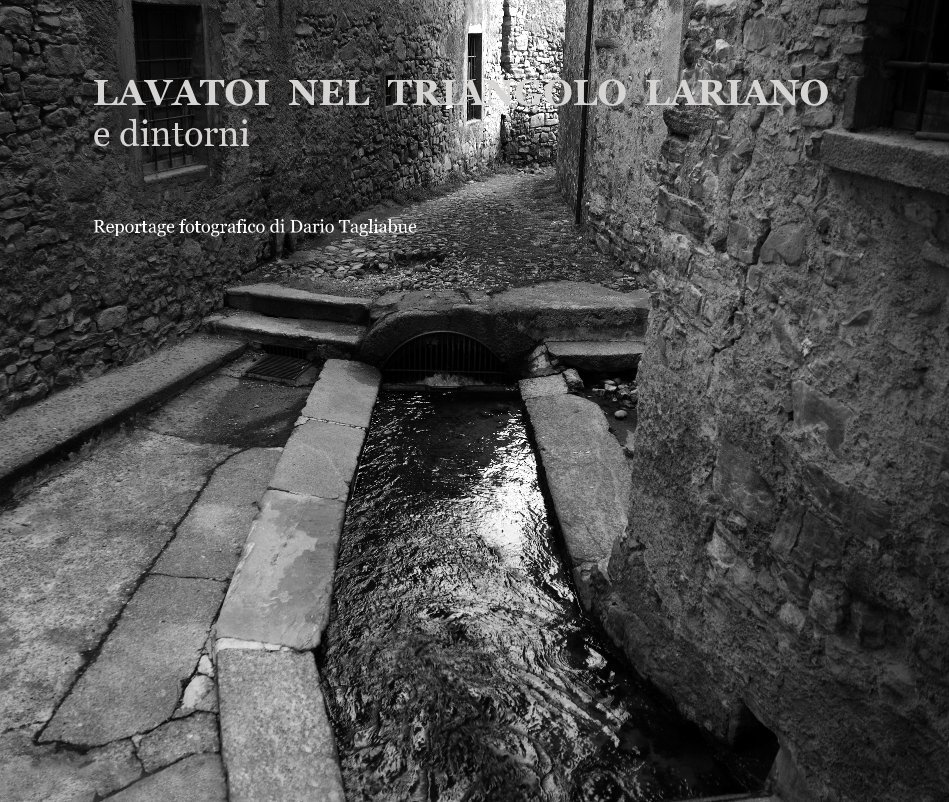 View LAVATOI NEL TRIANGOLO LARIANO e dintorni by Dario Tagliabue - Reportage