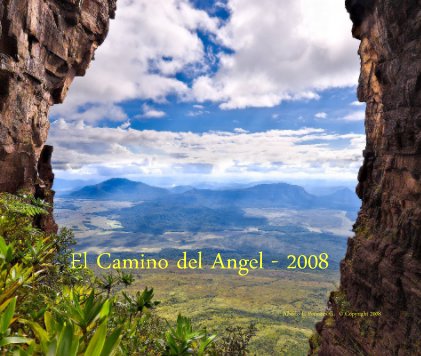 El Camino del Angel - 2008 book cover