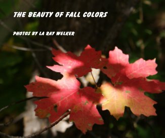 THE BEAUTY OF FALL COLORS book cover