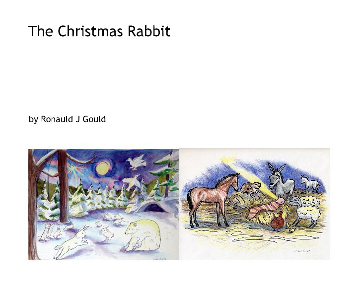 View The Christmas Rabbit by Ronauld J Gould