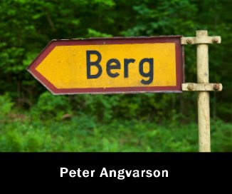 Berg book cover