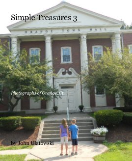 Simple Treasures 3 book cover