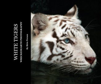 WHITE TIGERS book cover