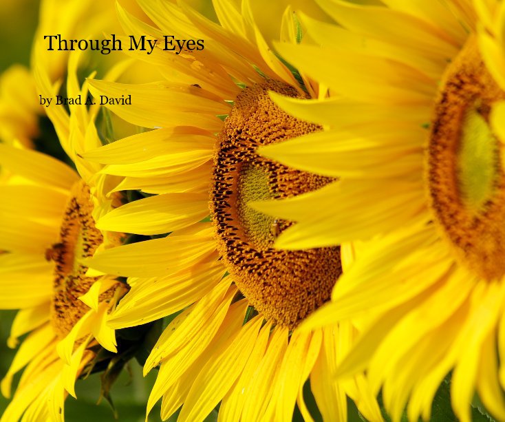 View Through My Eyes by Brad A. David