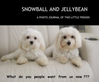 SNOWBALL AND JELLYBEAN book cover