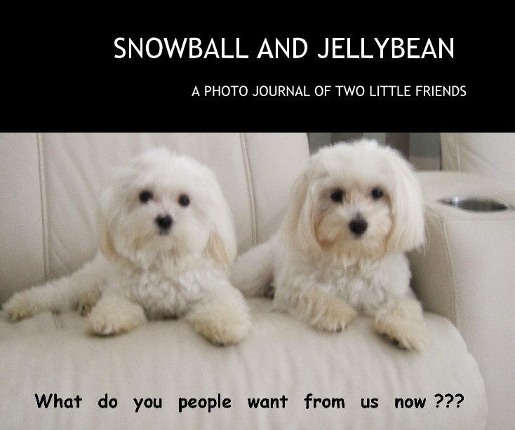 View SNOWBALL AND JELLYBEAN by kate417