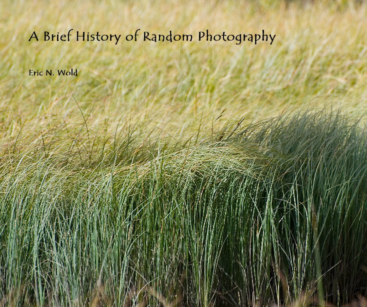 Ver A Brief History of Random Photography por Eric N. Wold