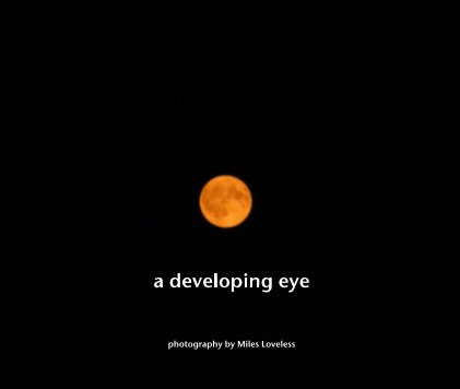 a developing eye book cover