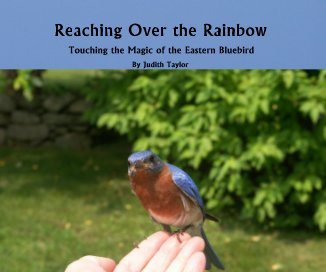 Reaching Over the Rainbow book cover