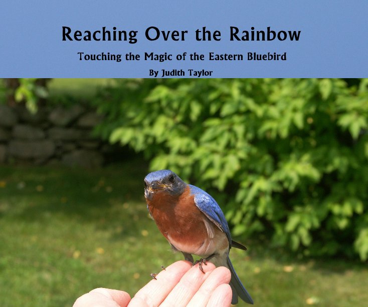 View Reaching Over the Rainbow by Judith Taylor
