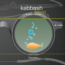 Kabbash Design Eyewear Book 1 book cover