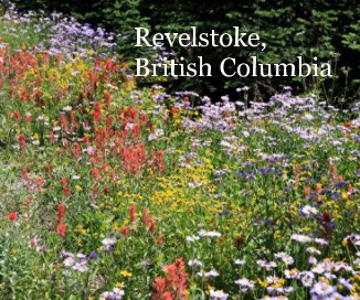 Revelstoke, British Columbia book cover
