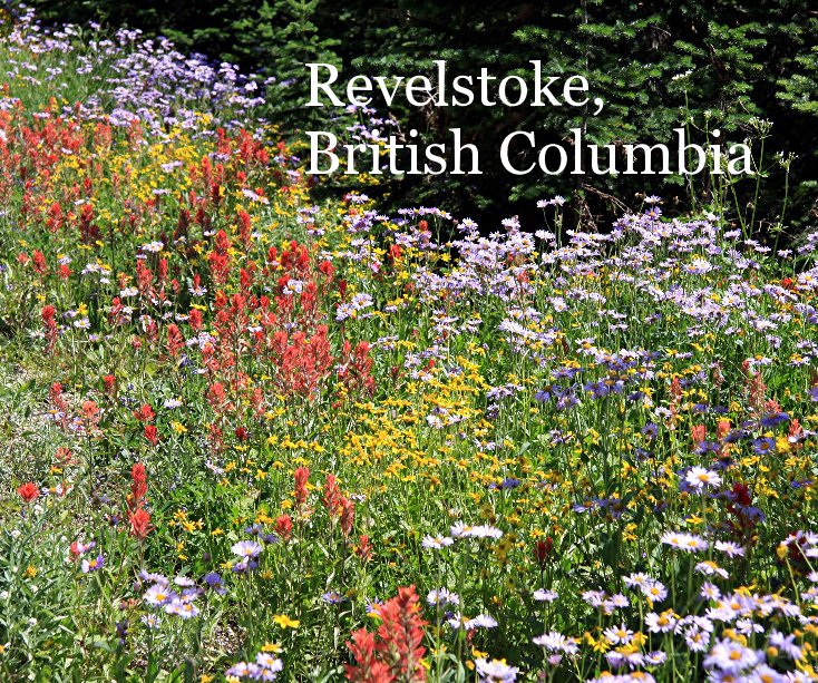 View Revelstoke, British Columbia by bobo2418