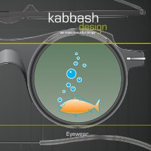 Kabbash Design Eyewear Book 2 book cover