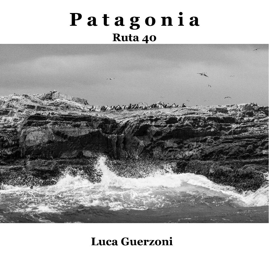 View P a t a g o n i a by Luca Guerzoni