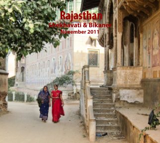 Rajasthan 1 book cover